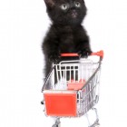 from istockphoto.com